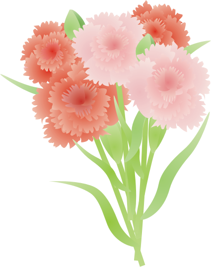 �J�[�l�[�V����14