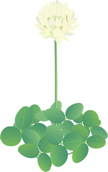 �N���[�o�[10