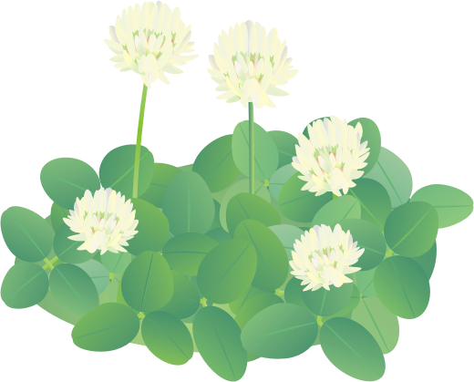 �N���[�o�[13