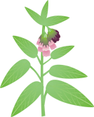 �R���t���[10