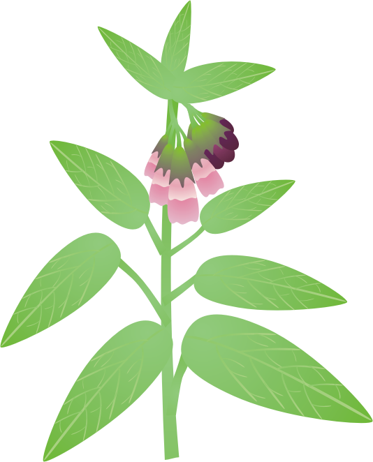 �R���t���[10