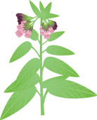 �R���t���[11