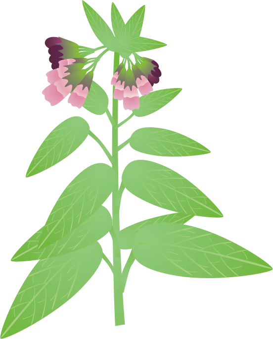 �R���t���[11