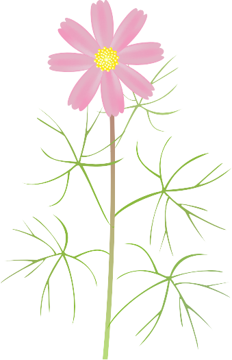 �R�X���X14