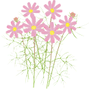 �R�X���X16