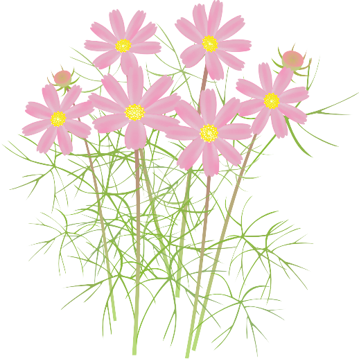 �R�X���X16