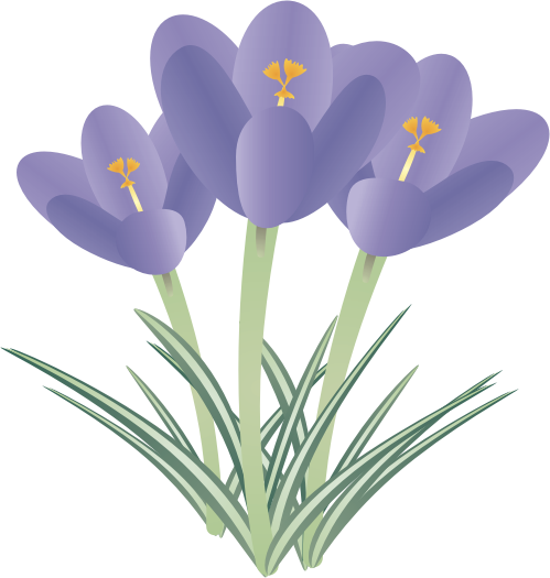 �N���b�J�X12