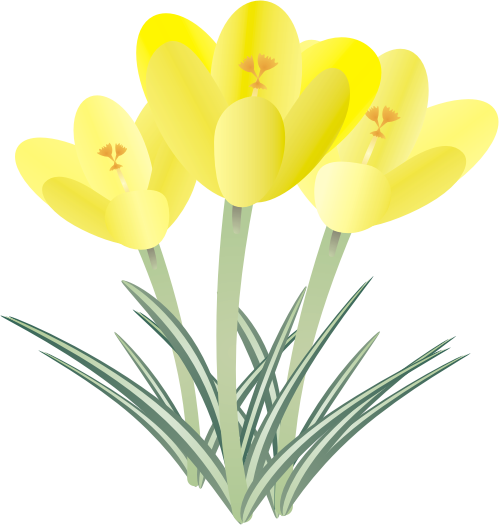 �N���b�J�X13