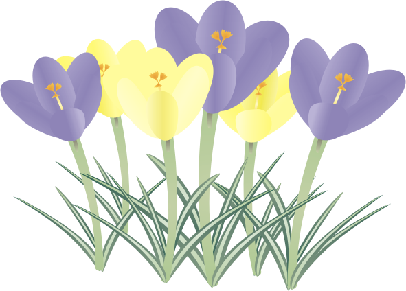 �N���b�J�X15