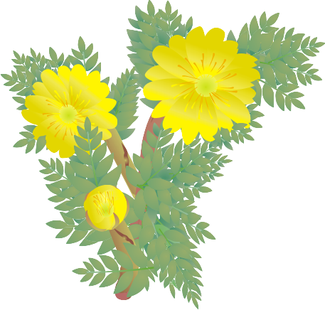 ������15