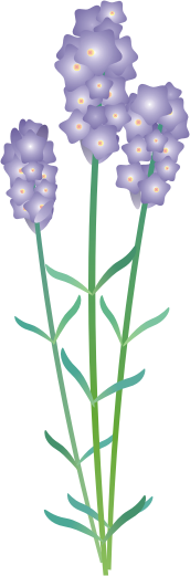 ���x���_�[10