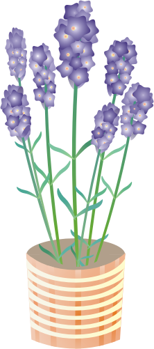 ���x���_�[15