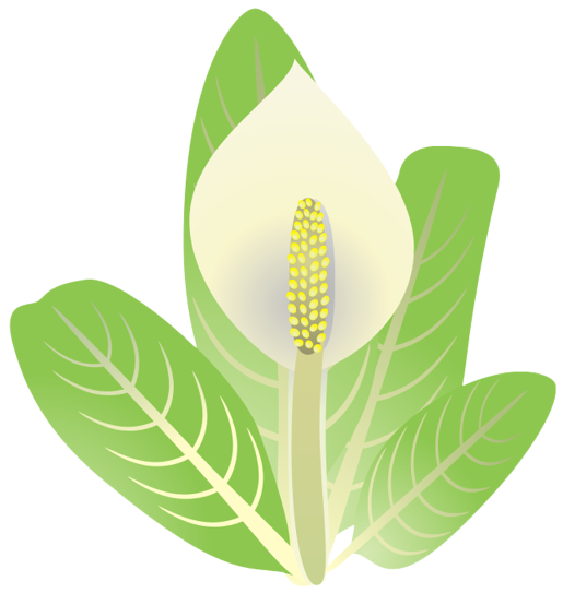 �~�Y�o�V���E10