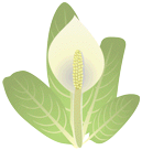 �~�Y�o�V���E11