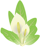 �~�Y�o�V���E14