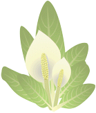 �~�Y�o�V���E15