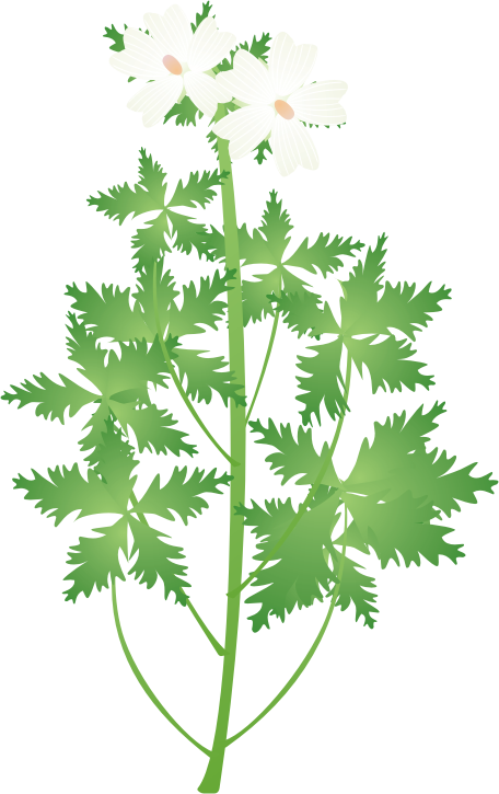 ���X�N�}���E15