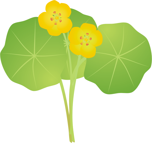 �i�X�^�e�B�E��10