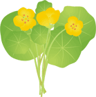 �i�X�^�e�B�E��12