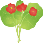 �i�X�^�e�B�E��15