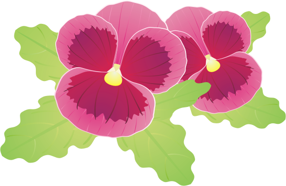 �p���W�[10