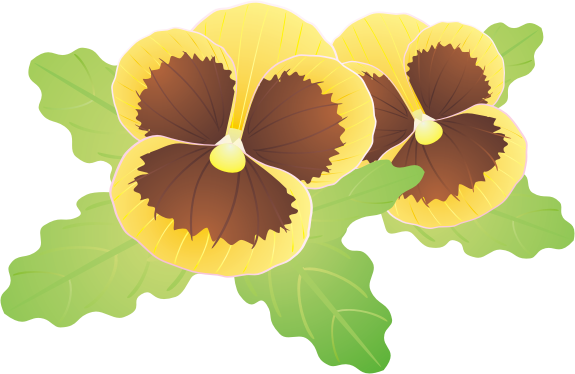 �p���W�[11