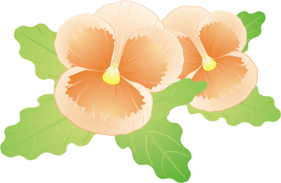 �p���W�[13