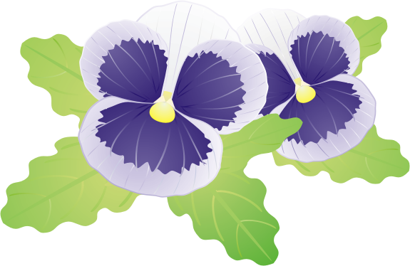 �p���W�[15