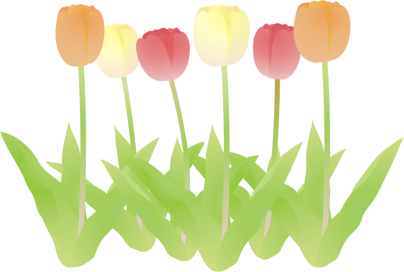 �`���[���b�v����16