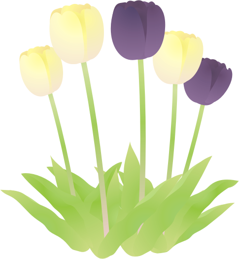 �`���[���b�v����17