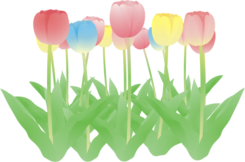 �`���[���b�v����19