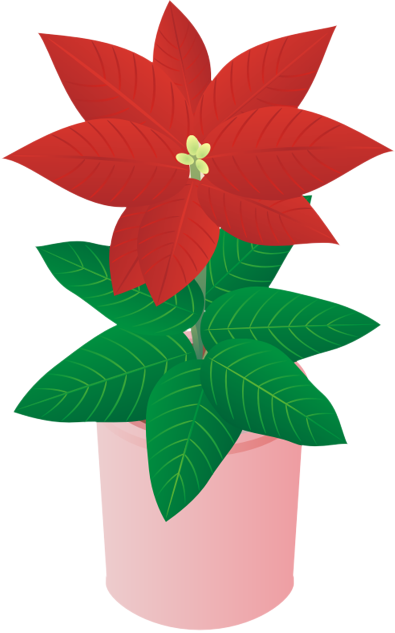 �|�C���Z�`�A13