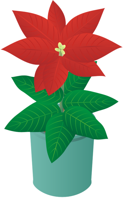 �|�C���Z�`�A16