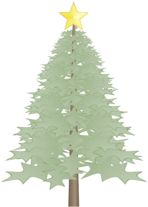 �N���X�}�X�c���[B19