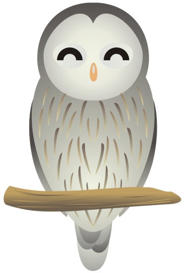 �t�N���E11