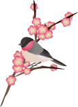 小鳥と梅14 小鳥と梅14
