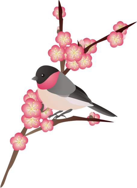 �����Ɣ~14