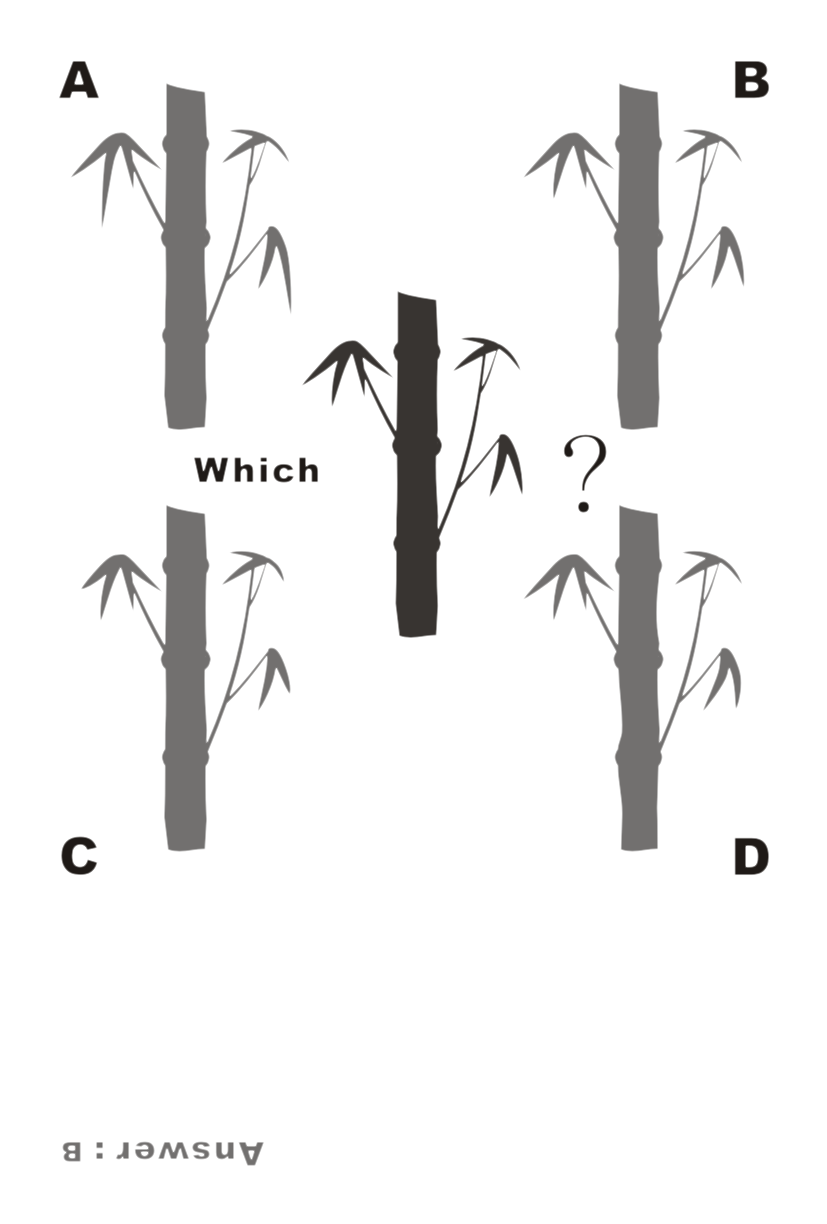 �N���e���v���[�g�N�C�Y13