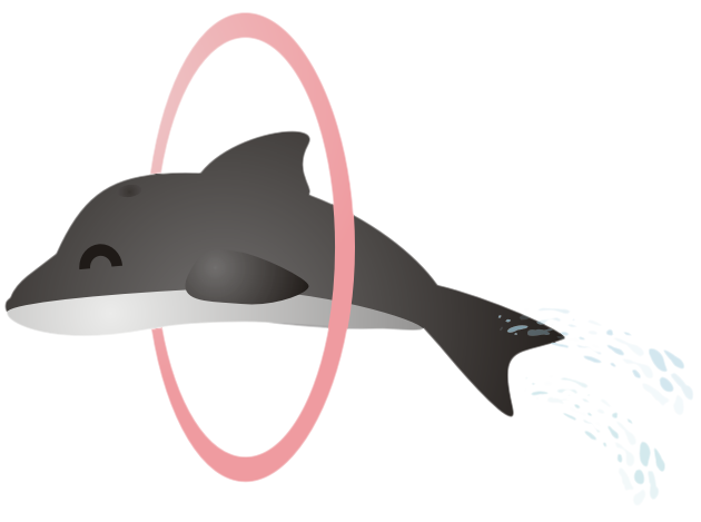 �C���J�W�����v11