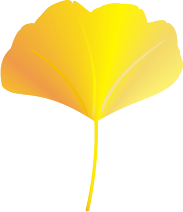 �C�`���E19